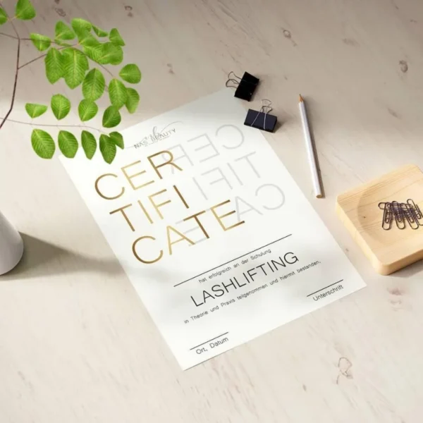 Zertifikat mit professionellem Layout und klarer Struktur
